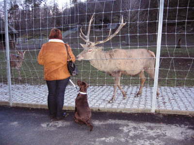Im Opelzoo