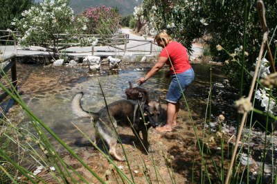 Spanien 2011