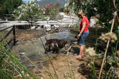 Spanien 2011