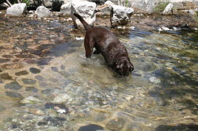 Spanien 2011